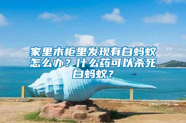 家里木柜里發(fā)現(xiàn)有白螞蟻怎么辦？什么藥可以殺死白螞蟻？