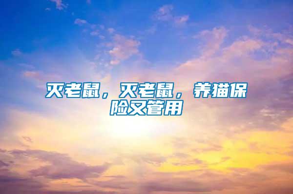 滅老鼠，滅老鼠，養(yǎng)貓保險(xiǎn)又管用