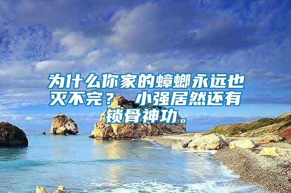 為什么你家的蟑螂永遠也滅不完？ 小強居然還有鎖骨神功。