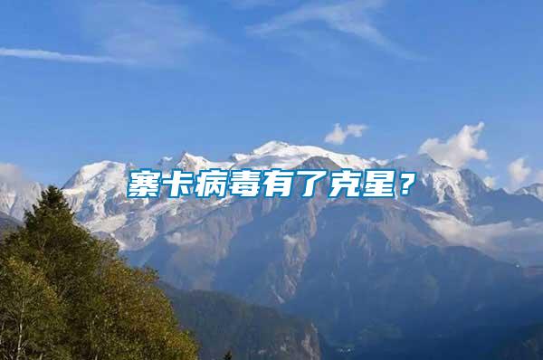 寨卡病毒有了克星？