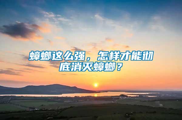 蟑螂這么強(qiáng)，怎樣才能徹底消滅蟑螂？