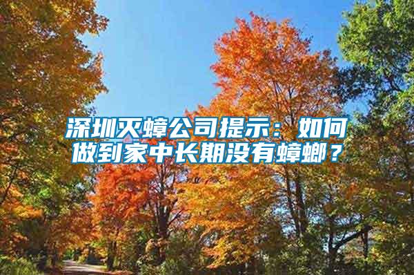 深圳滅蟑公司提示：如何做到家中長期沒有蟑螂？