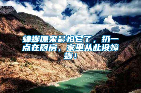 蟑螂原來最怕它了，扔一點在廚房，家里從此沒蟑螂！