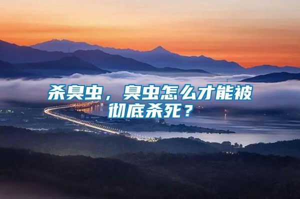 殺臭蟲，臭蟲怎么才能被徹底殺死？