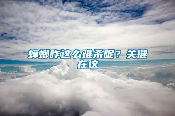 蟑螂咋這么難殺呢？關鍵在這