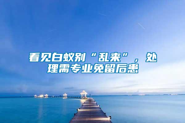 看見白蟻別“亂來”，處理需專業免留后患