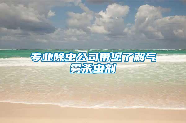 專業(yè)除蟲(chóng)公司帶您了解氣霧殺蟲(chóng)劑