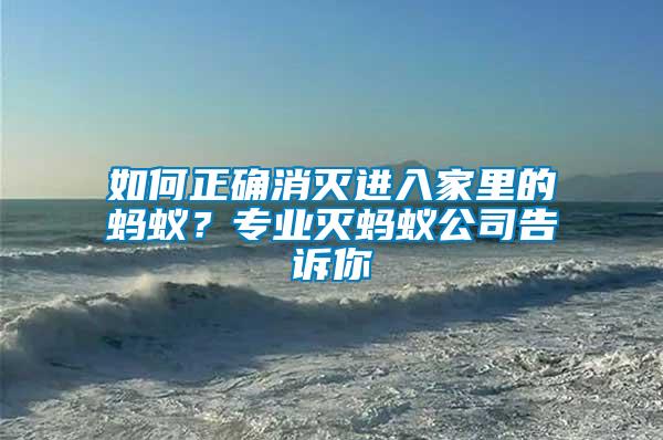 如何正確消滅進入家里的螞蟻？專業滅螞蟻公司告訴你