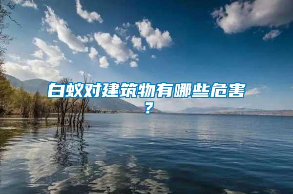 白蟻對建筑物有哪些危害？