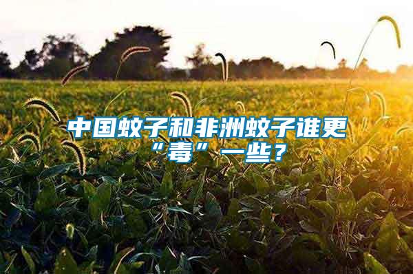 中國(guó)蚊子和非洲蚊子誰(shuí)更“毒”一些？