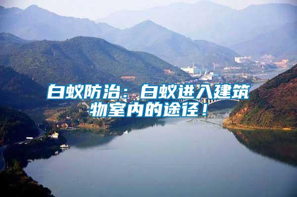 白蟻防治：白蟻進(jìn)入建筑物室內(nèi)的途徑！