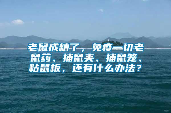 老鼠成精了，免疫一切老鼠藥、捕鼠夾、捕鼠籠、粘鼠板，還有什么辦法？