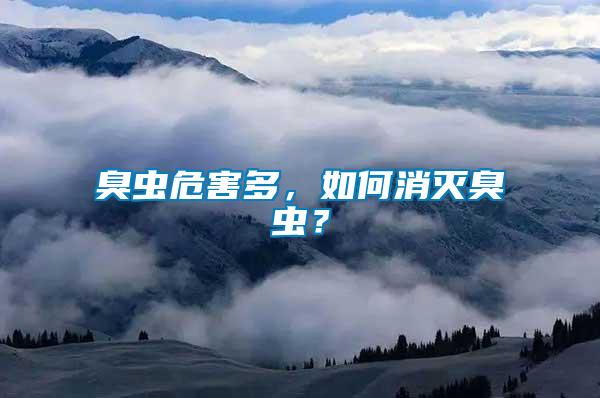 臭蟲危害多，如何消滅臭蟲？