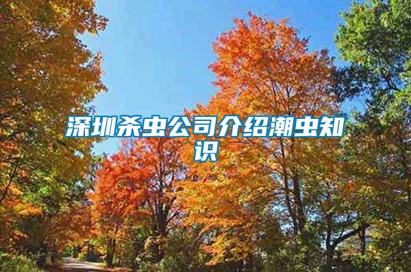 深圳殺蟲(chóng)公司介紹潮蟲(chóng)知識(shí)