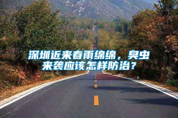 深圳近來(lái)春雨綿綿，臭蟲(chóng)來(lái)襲應(yīng)該怎樣防治？
