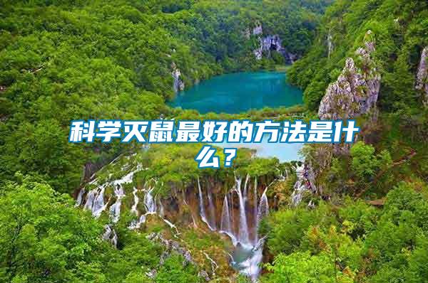 科學(xué)滅鼠最好的方法是什么？