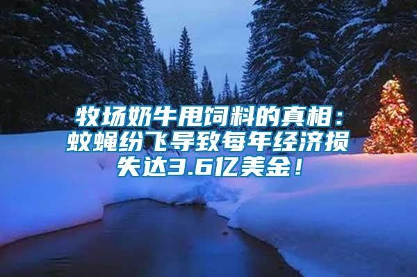 牧場奶牛甩飼料的真相：蚊蠅紛飛導致每年經濟損失達3.6億美金！