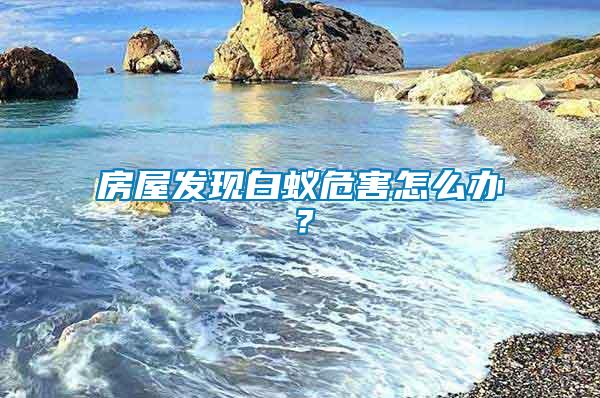 房屋發現白蟻危害怎么辦？