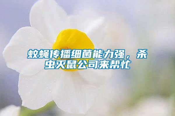 蚊蠅傳播細(xì)菌能力強(qiáng)，殺蟲(chóng)滅鼠公司來(lái)幫忙