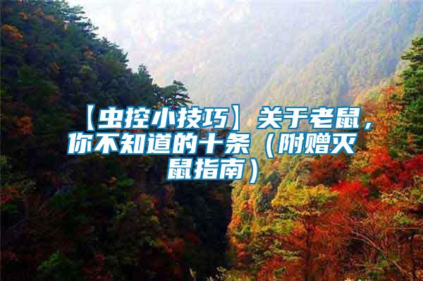 【蟲控小技巧】關于老鼠，你不知道的十條（附贈滅鼠指南）