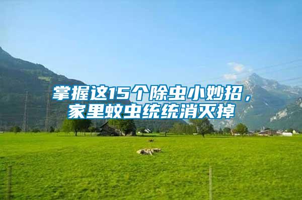 掌握這15個除蟲小妙招，家里蚊蟲統(tǒng)統(tǒng)消滅掉