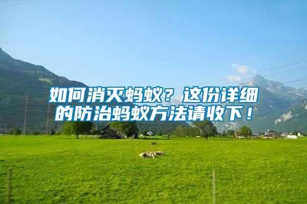 如何消滅螞蟻？這份詳細的防治螞蟻方法請收下！