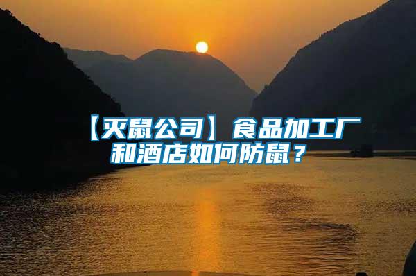 【滅鼠公司】食品加工廠和酒店如何防鼠？