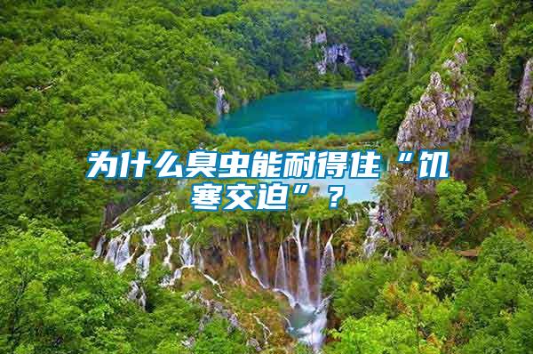 為什么臭蟲能耐得住“饑寒交迫”？