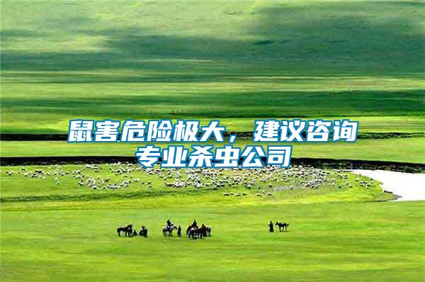 鼠害危險極大，建議咨詢專業(yè)殺蟲公司