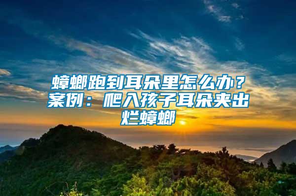 蟑螂跑到耳朵里怎么辦?案例:爬入孩子耳朵夾出爛蟑螂