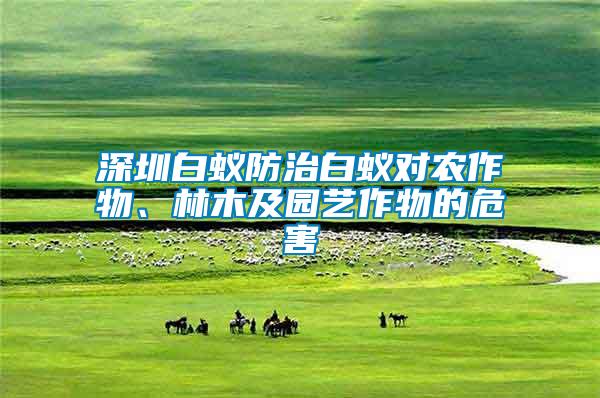 深圳白蟻防治白蟻對農(nóng)作物、林木及園藝作物的危害