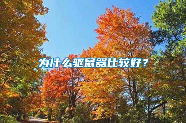 為什么驅鼠器比較好？