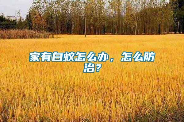 家有白蟻怎么辦，怎么防治？
