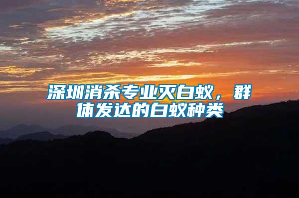 深圳消殺專業(yè)滅白蟻，群體發(fā)達(dá)的白蟻種類