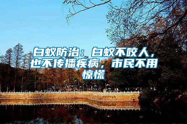 白蟻防治：白蟻不咬人，也不傳播疾病，市民不用驚慌