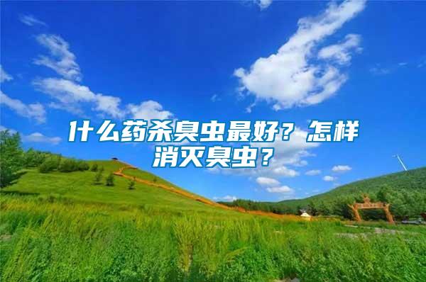 什么藥殺臭蟲最好？怎樣消滅臭蟲？