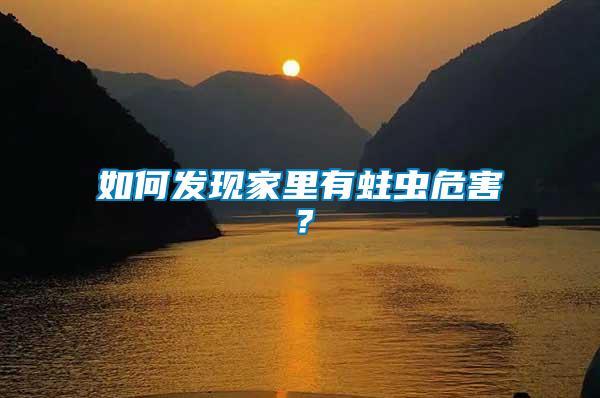 如何發(fā)現(xiàn)家里有蛀蟲(chóng)危害？