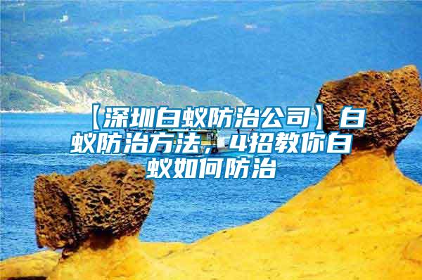 【深圳白蟻防治公司】白蟻防治方法，4招教你白蟻如何防治
