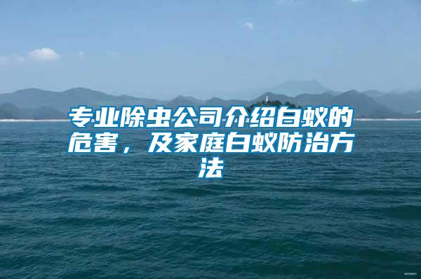 專業(yè)除蟲公司介紹白蟻的危害，及家庭白蟻防治方法
