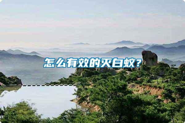 怎么有效的滅白蟻？