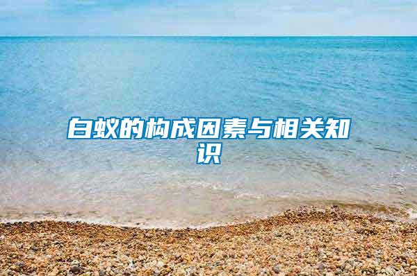 白蟻的構成因素與相關知識