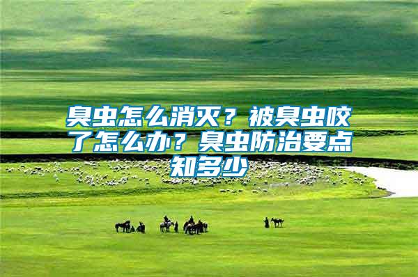 臭蟲怎么消滅？被臭蟲咬了怎么辦？臭蟲防治要點(diǎn)知多少