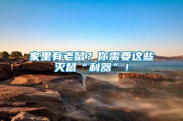 家里有老鼠？你需要這些滅鼠“利器”！