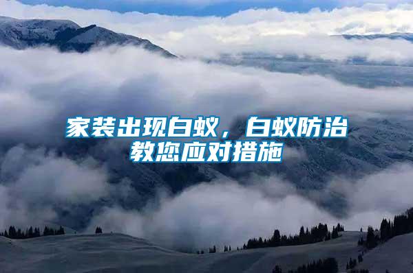家裝出現白蟻，白蟻防治教您應對措施