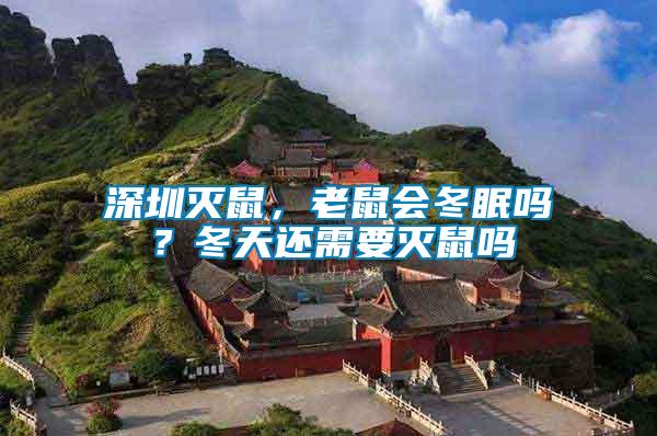 深圳滅鼠，老鼠會冬眠嗎？冬天還需要滅鼠嗎