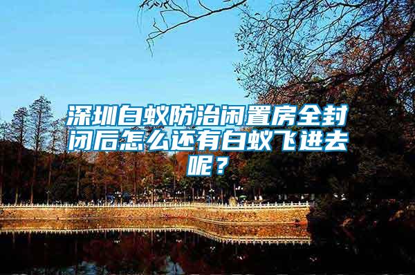 深圳白蟻防治閑置房全封閉后怎么還有白蟻飛進去呢？