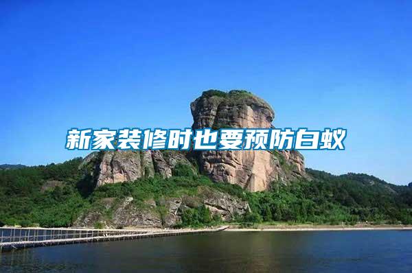 新家裝修時也要預防白蟻