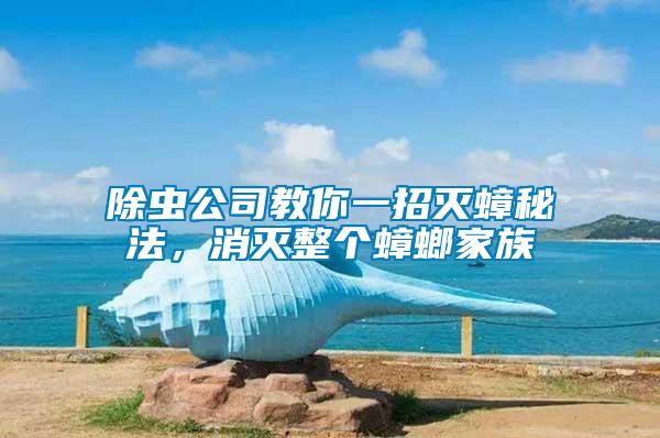 除蟲公司教你一招滅蟑秘法，消滅整個蟑螂家族