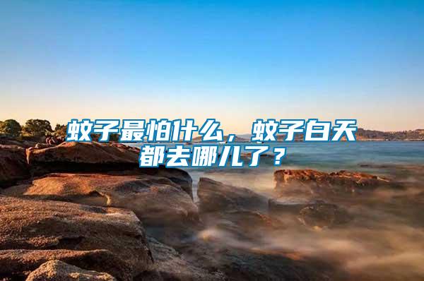 蚊子最怕什么，蚊子白天都去哪兒了？
