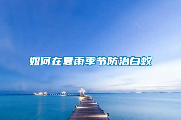 如何在夏雨季節防治白蟻